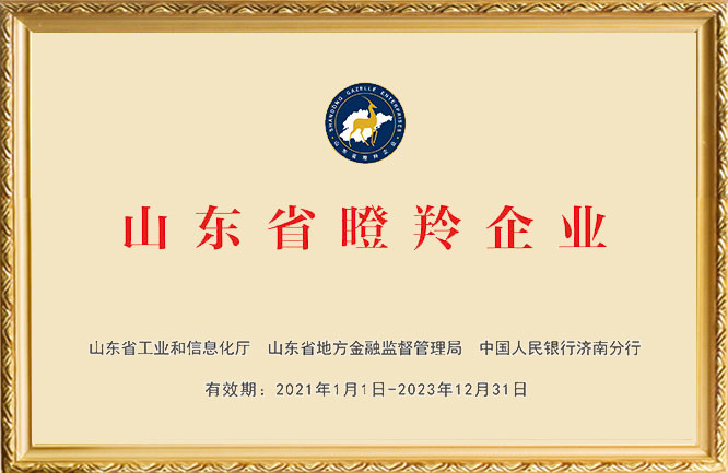 山東省瞪羚企業(yè)""