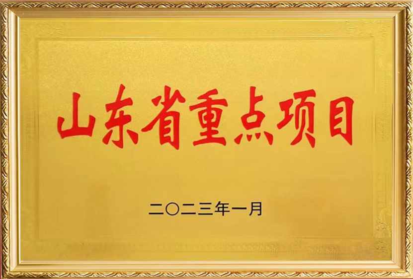 山東省重點項目""